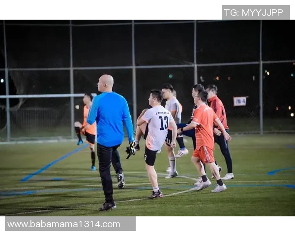 捷豹足球:激情与荣耀交织的绿茵传奇之旅 捷豹足球:激情与荣耀交织的绿茵传奇之旅